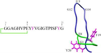 Fate and Biological Activity of the Antimicrobial Lasso Peptide Microcin J25 Under Gastrointestinal Tract Conditions